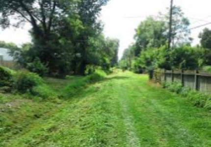 A verdant grassy path