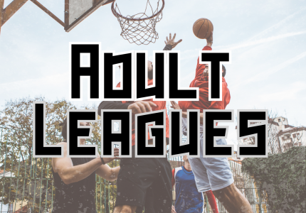 Adult Leagues