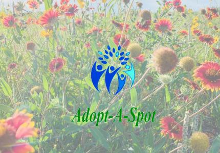 Adopt-A-Spot
