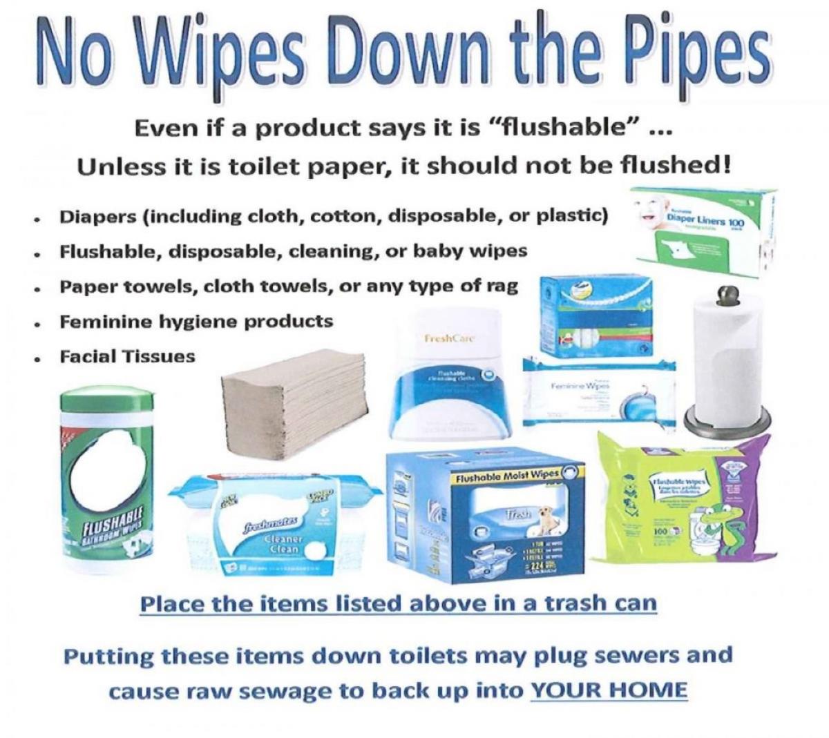 A "No Wipes Down the Pipes" flyer